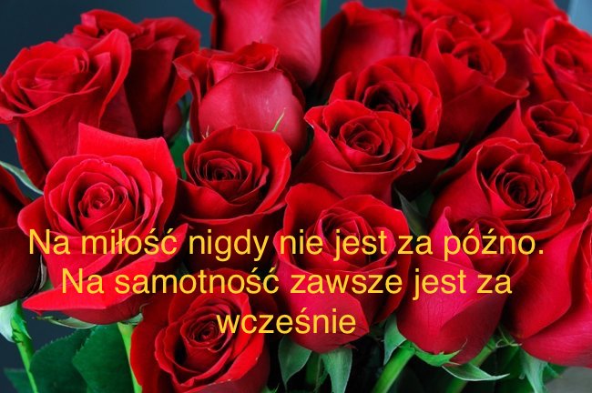 31D6EA8B-5BF4-4B95-A27F-AF45375D87F5